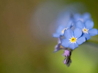 《年轻漂亮的继姆》