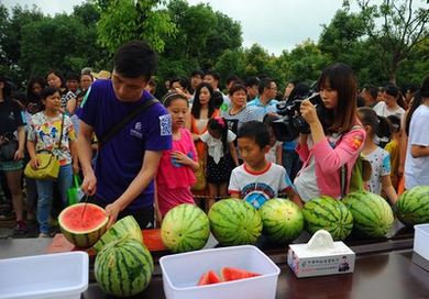 为什么胸前长很多褐色斑点