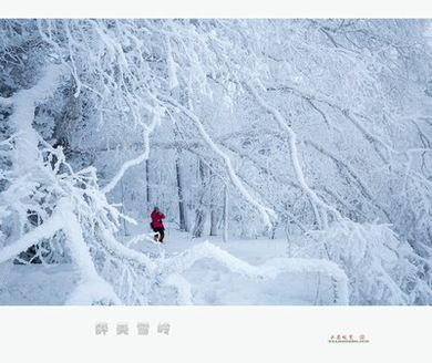 噤禁止想象电影完整版