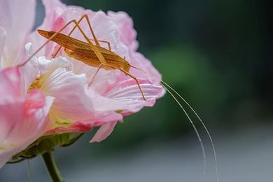 女主被男主打断腿送进监狱的小说