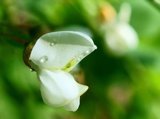 插翅难飞草民影视