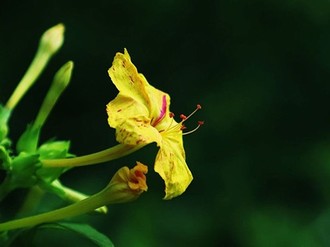 小四郎地址在哪里