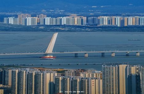 无颜之月无删减樱花