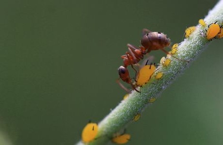 神马绝论推理片